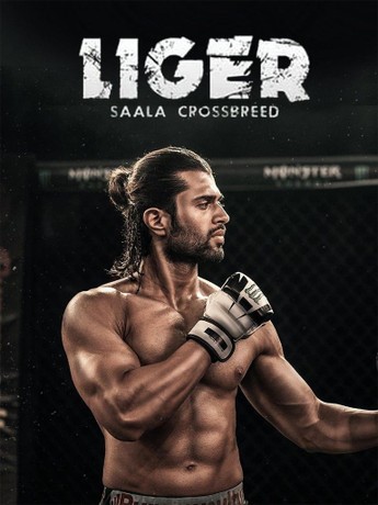 Download Liger 2022 Full Movie 480p