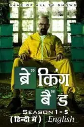 Breaking Bad Dual Audio Hindi Download