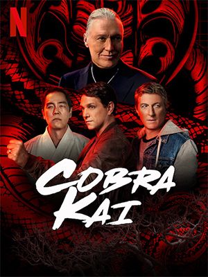 Download Cobra Kai – Netflix Original (2018) Season 1-6 Dual Audio