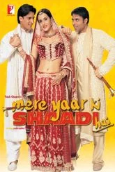 Download Mere Yaar Ki Shaadi Hai (2002) Hindi Full Movie