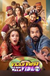 Download Vicky Vidya Ka Woh Wala Video (2024) Hindi DD5.1 Netflix WEB-DL